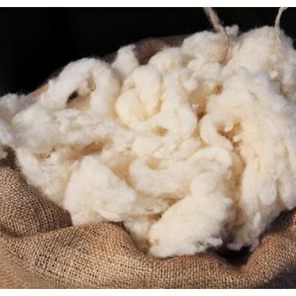 sheep wool fibre